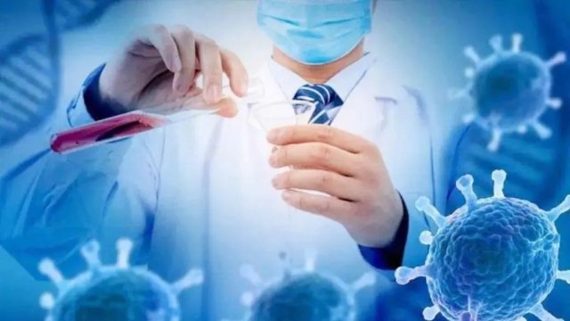 哪种情况需聘请独立顾问及其应履行的义务和责任？