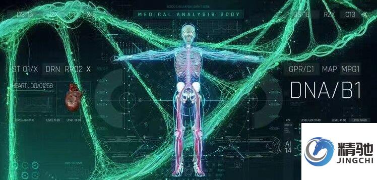 在临床试验中，是否允许受试者服用伴随用药？