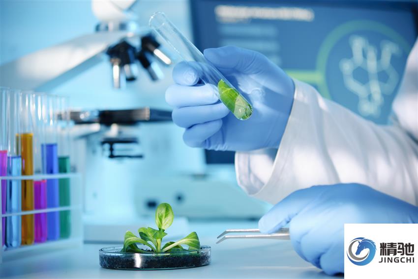 临床试验文件保管：于无声处见真章的合规艺术