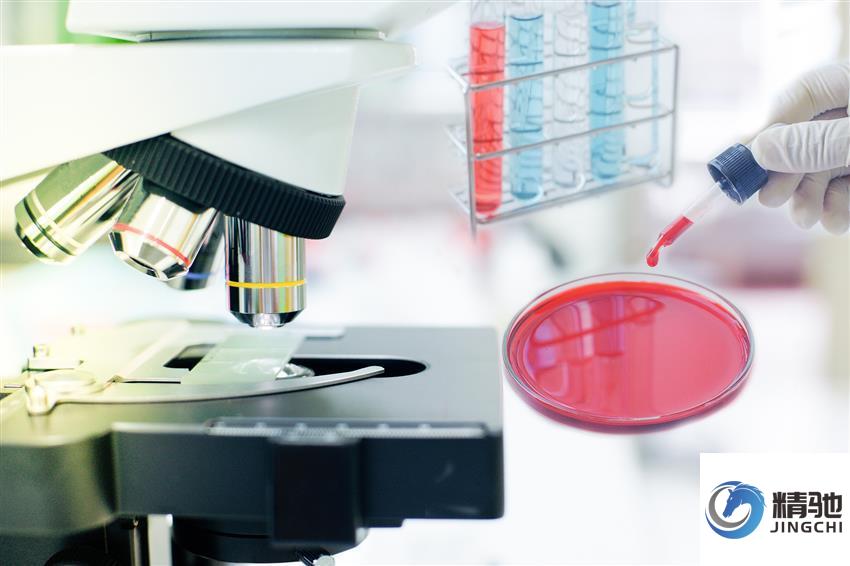 源文件:临床试验中最不该被“加工”的那份原始记录